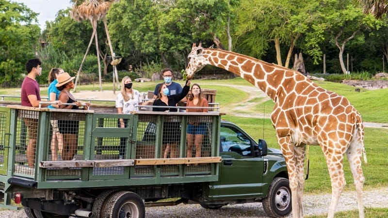 Llanura del Serengeti en Busch Gardens