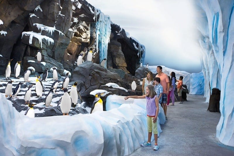 Antarktis - Reich des Pinguins