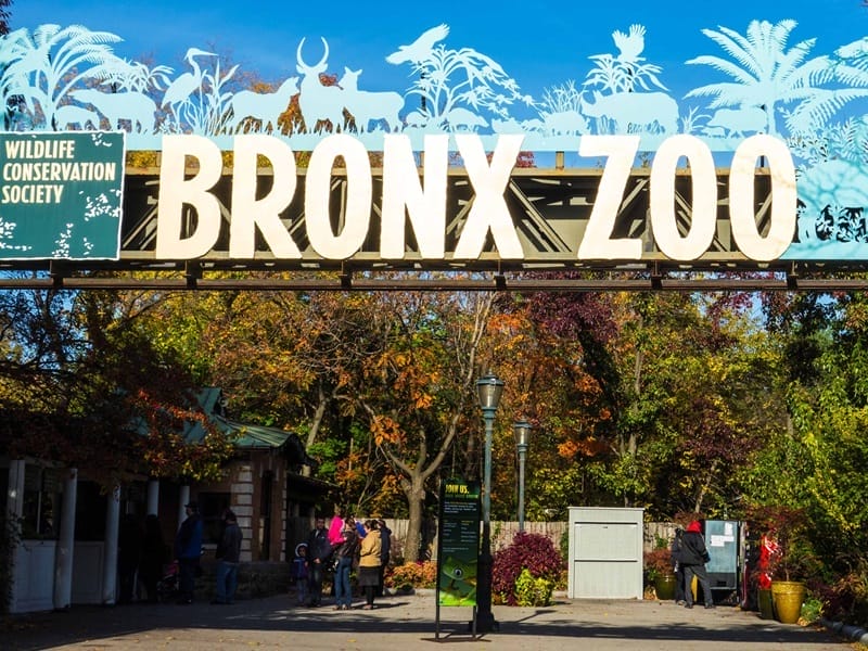 Zoo del Bronx en Nueva York