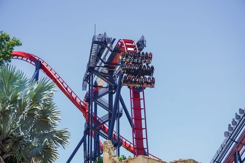Roller coaster at Busch Gardens in Tampa