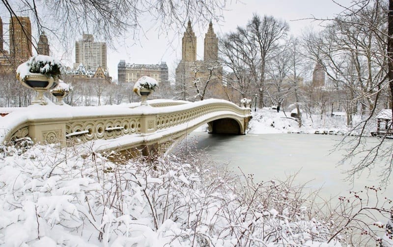Central Park en Nueva York en invierno