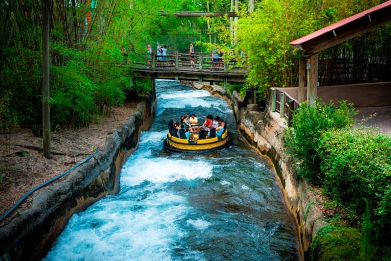 Atração Congo River Rapids no Busch Gardens