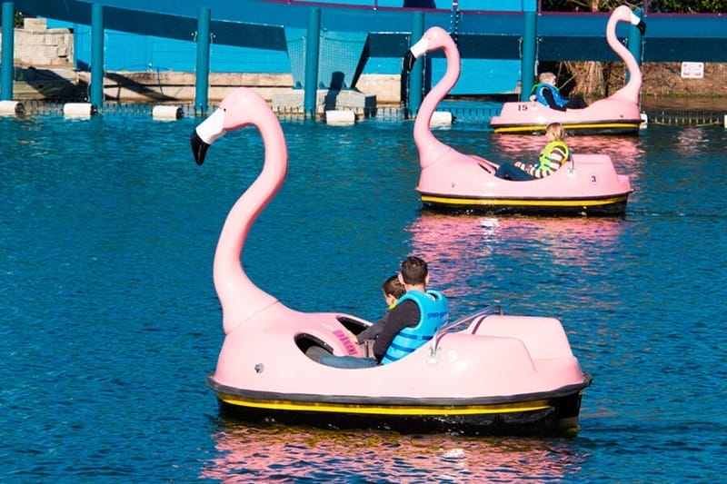 Flamingo-Paddelboote im SeaWorld-Park in Orlando