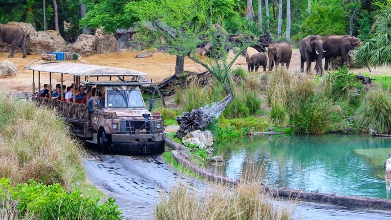 Spedizione Kilimanjaro Safaris - Africa presso Animal Kingdom a Orlando