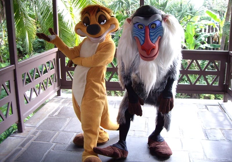 Timon and Rafiki at Magic Kingdom