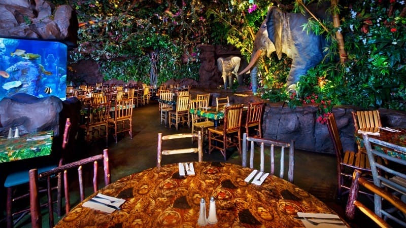 Rainforest Cafe (Oasis) at Animal Kingdom