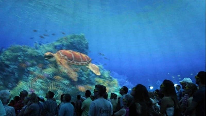 Paseo de las Tortugas en el parque SeaWorld de Orlando