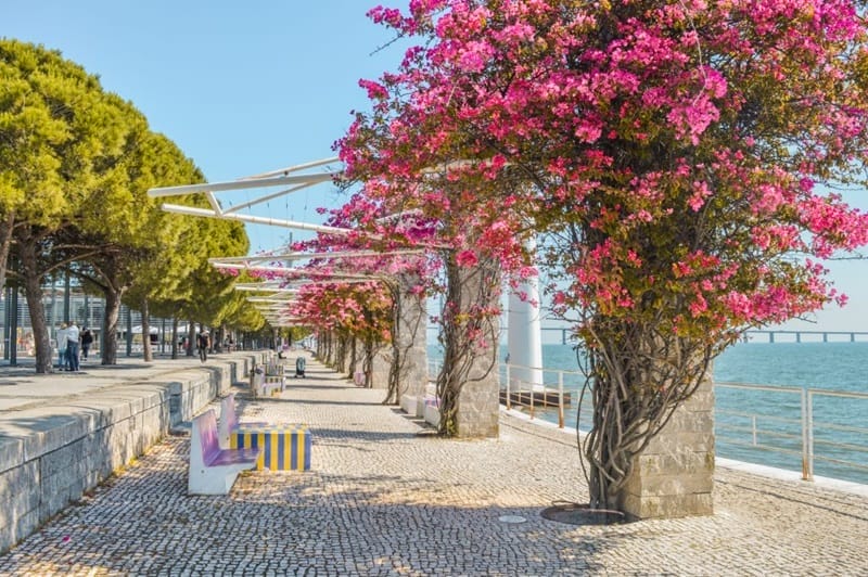 Um dia de primavera em Lisboa