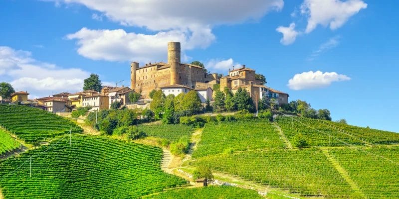 Weingut Barolo in Turin