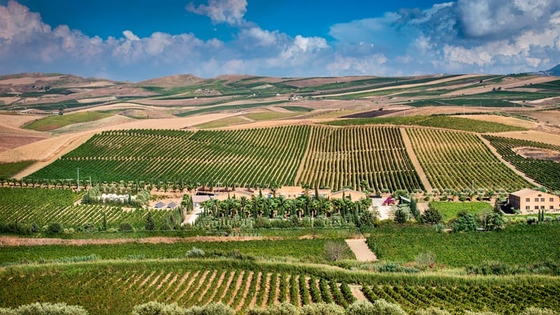 Domaine viticole de Donnafugata dans la région de Marsala