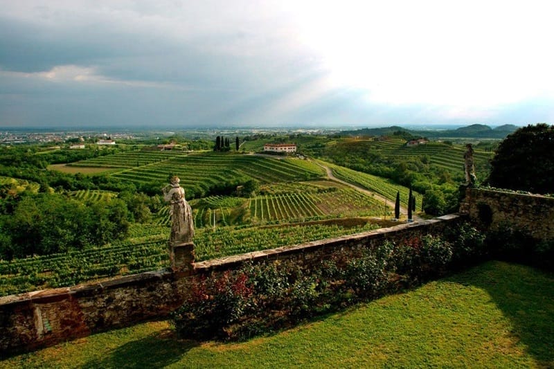 Bodega Livio Felluga en la región de Friul-Venecia Julia