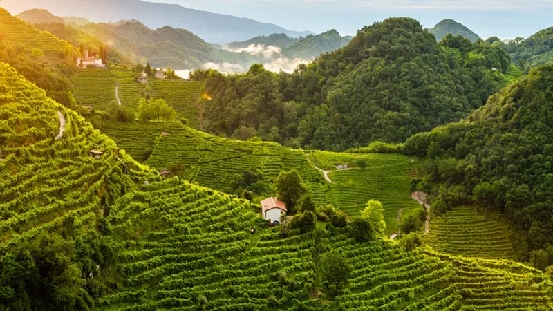 Bodega en la región de Valdobbiadene