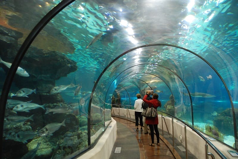 Acquario di Barcellona