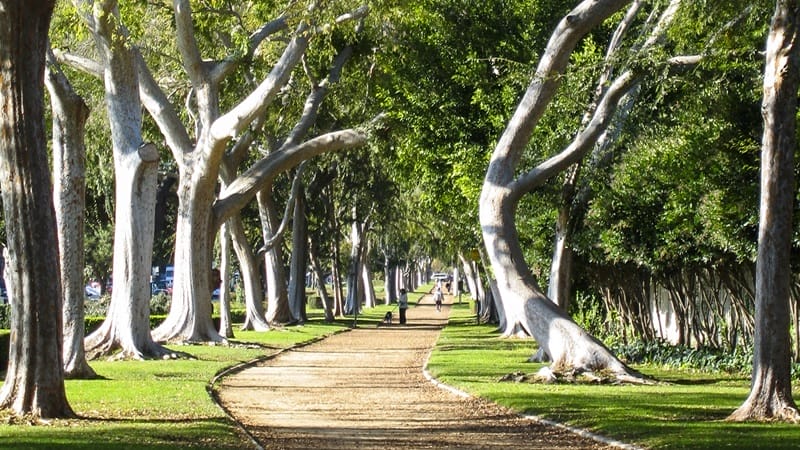 Beverly Garden Park in Beverly Hills