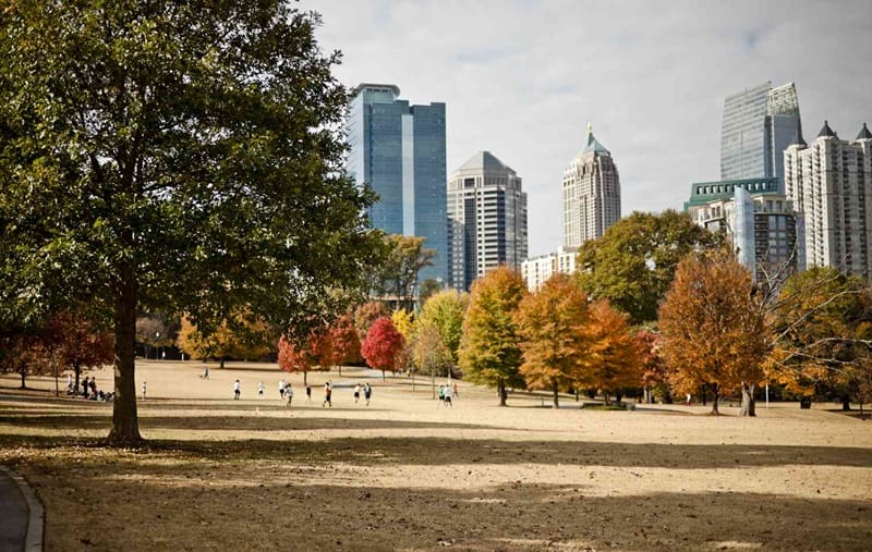 Árvores de outono em Atlanta