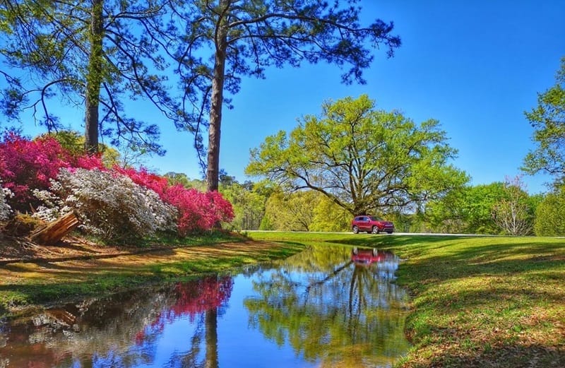 Jardins de Callaway