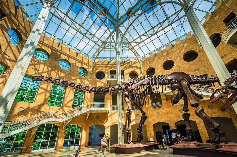 Musée d'histoire naturelle Fernbank