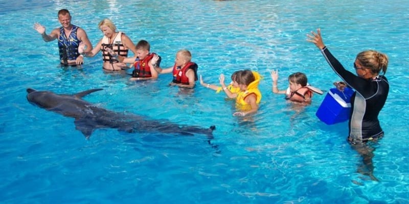 Familia jugando con los delfines