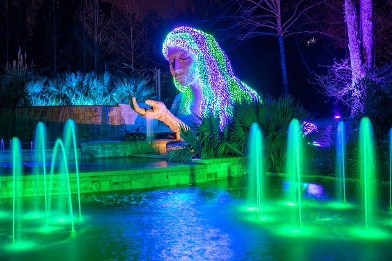 Nuits de Noël aux lumières du jardin