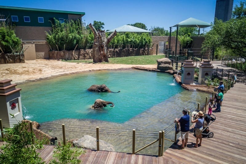 O Jardim Zoológico de Houston