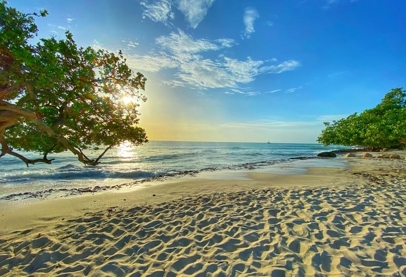 Journée d'été à Aruba